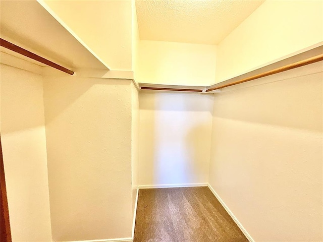 336 Chalmette St, Norman, OK 73071 - photo 32