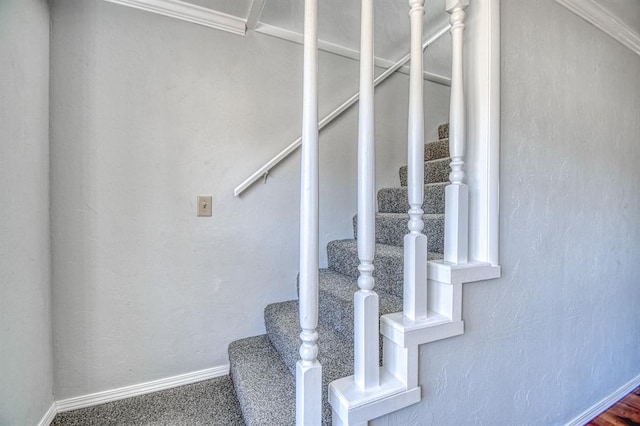 stairway with carpet and ornamental molding