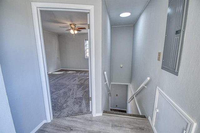 stairway with carpet, ceiling fan, and electric panel