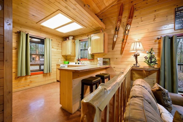 bar featuring wood ceiling, wood walls, light brown cabinetry, and a healthy amount of sunlight