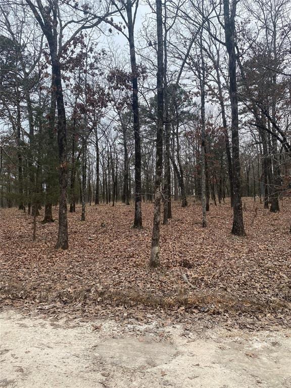 4 Pine Meadow Ln, Broken Bow OK, 74728 land for sale