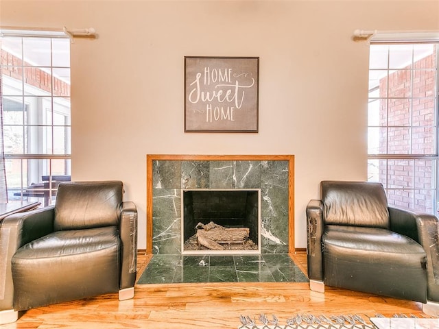 living area with a fireplace, wood-type flooring, and a wealth of natural light