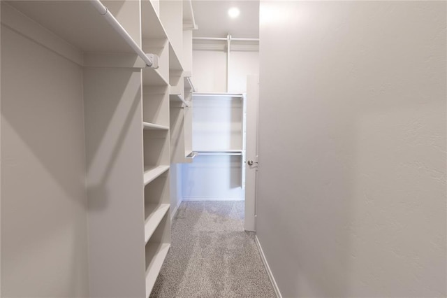 spacious closet with light colored carpet