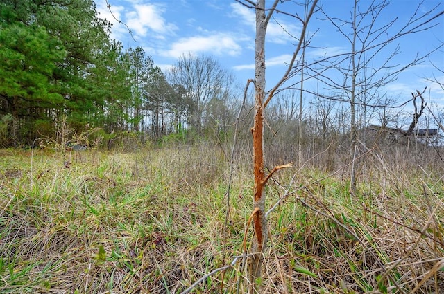 view of local wilderness