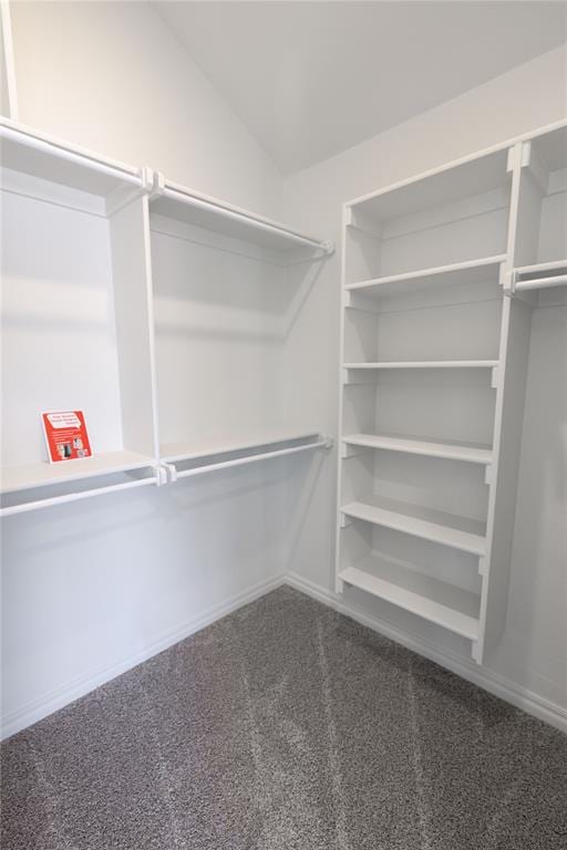 walk in closet with carpet floors and vaulted ceiling