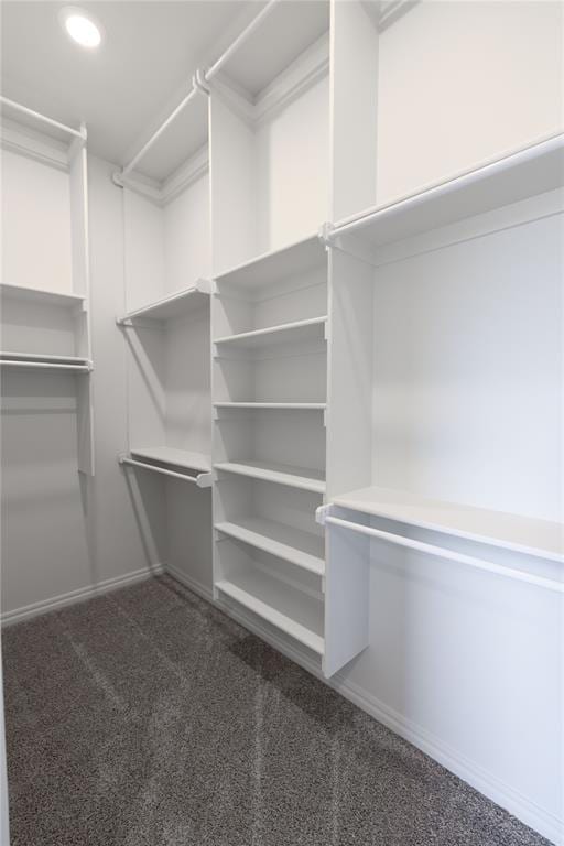 spacious closet with dark carpet