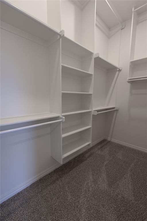 walk in closet with dark colored carpet