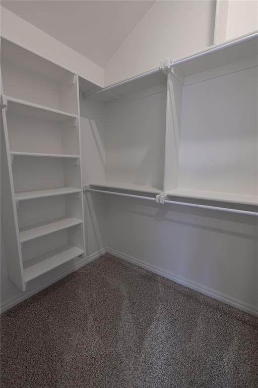 walk in closet with lofted ceiling and dark colored carpet