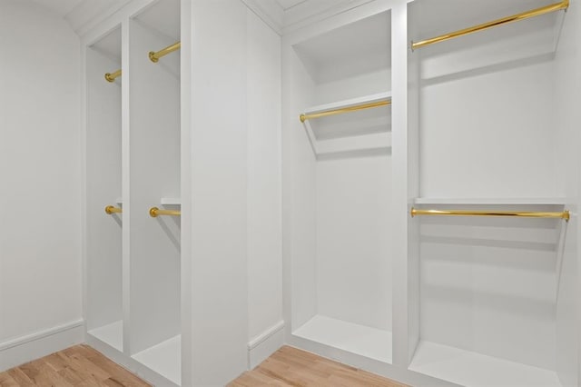 spacious closet featuring wood-type flooring