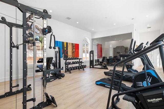 workout area featuring light hardwood / wood-style floors