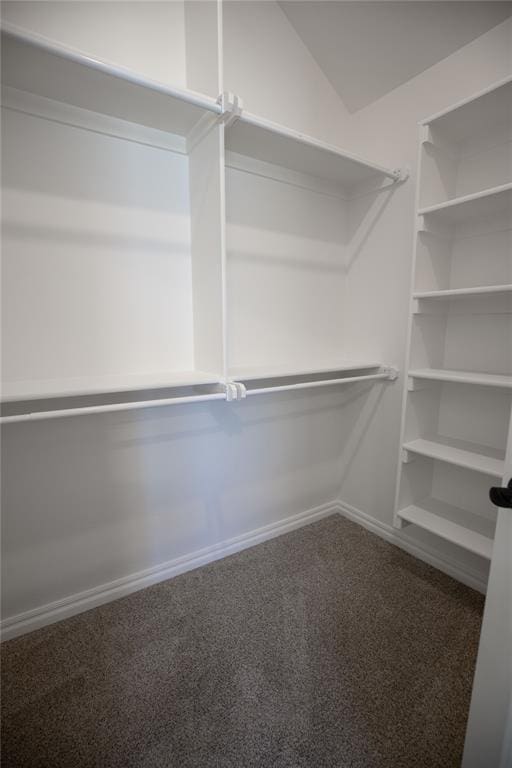8800 Tyrion Dr, Edmond, OK 73007 - spacious closet featuring carpet flooring