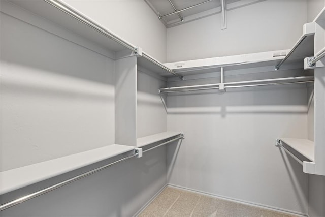 spacious closet with light carpet