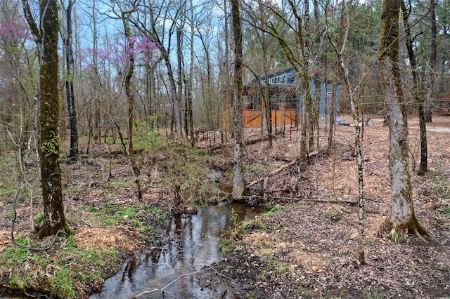 view of local wilderness