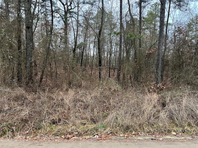 Listing photo 3 for Summit Ridge Rd, Broken Bow OK 74728