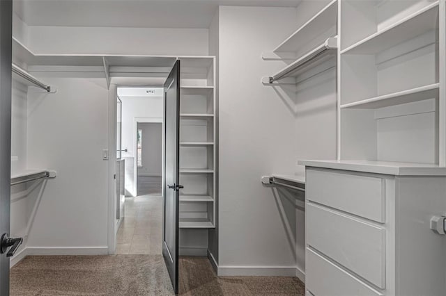 walk in closet with carpet flooring