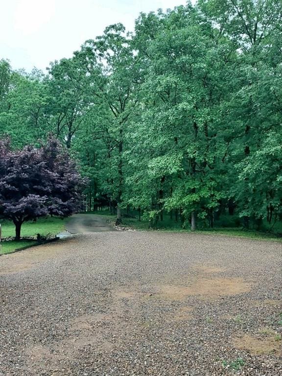 263 Orca Rd, Broken Bow, OK 74728 - photo 49
