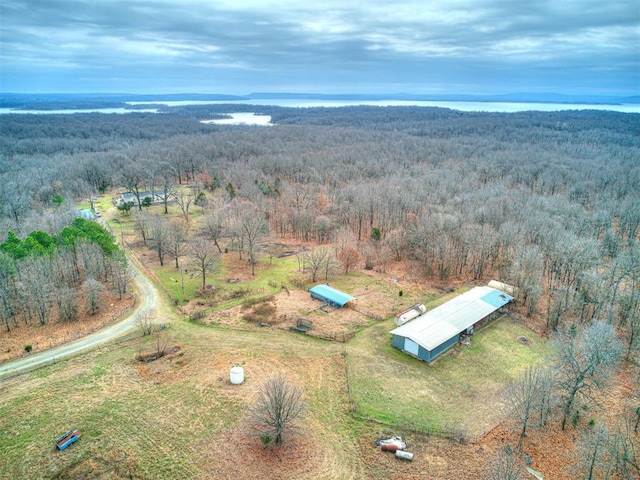 bird's eye view