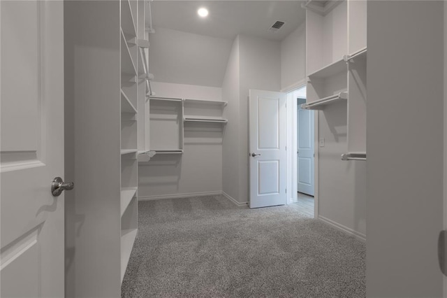 spacious closet with light carpet