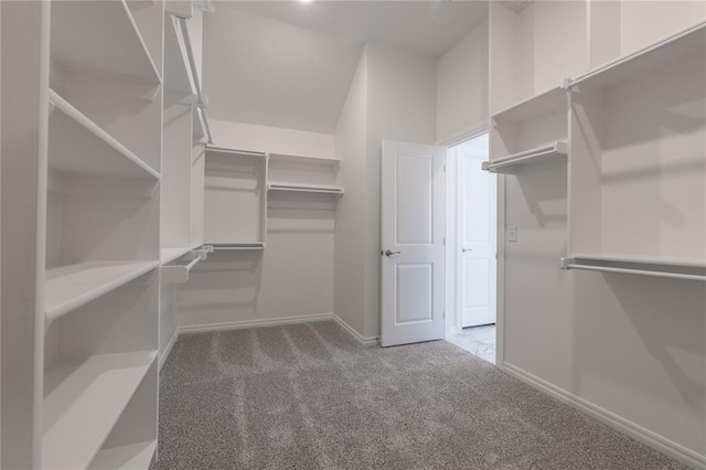 walk in closet with dark carpet