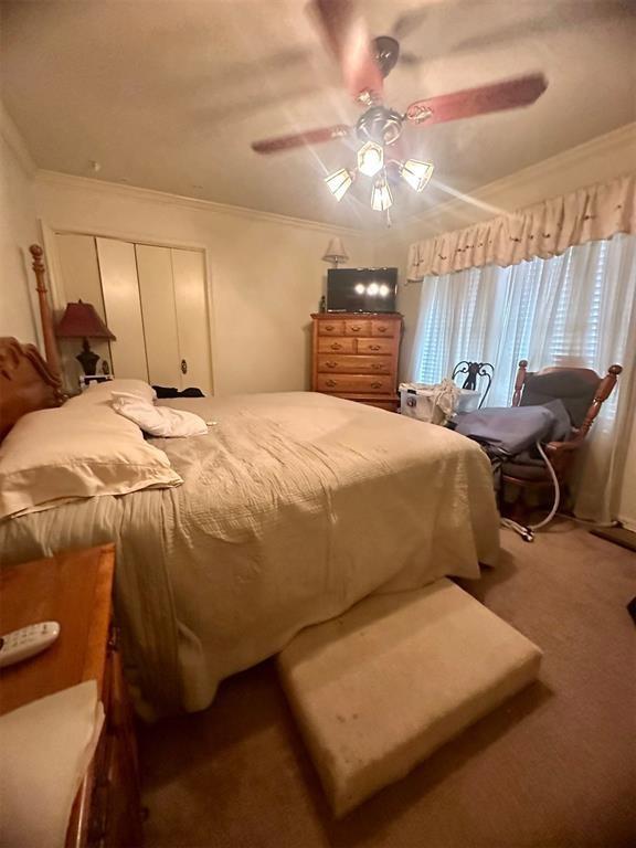 carpeted bedroom featuring ceiling fan and crown molding