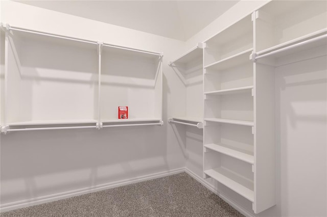 spacious closet with carpet floors