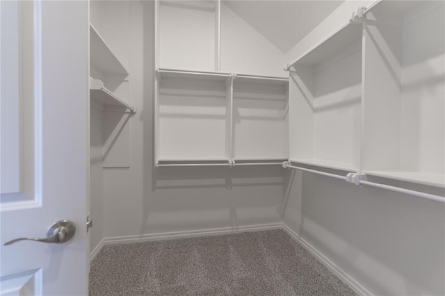 walk in closet featuring carpet flooring