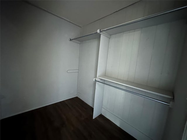 walk in closet with dark wood finished floors