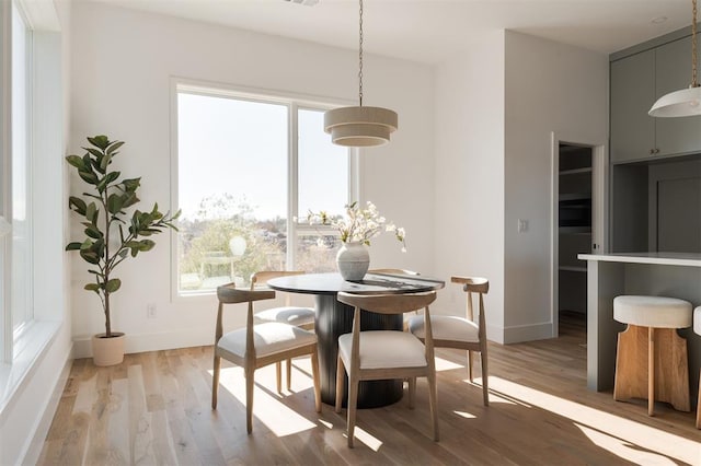 dining space with wood-type flooring