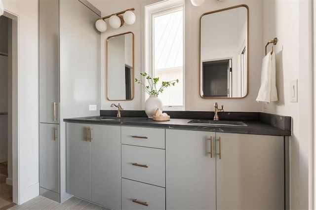 bathroom with vanity and wood-type flooring