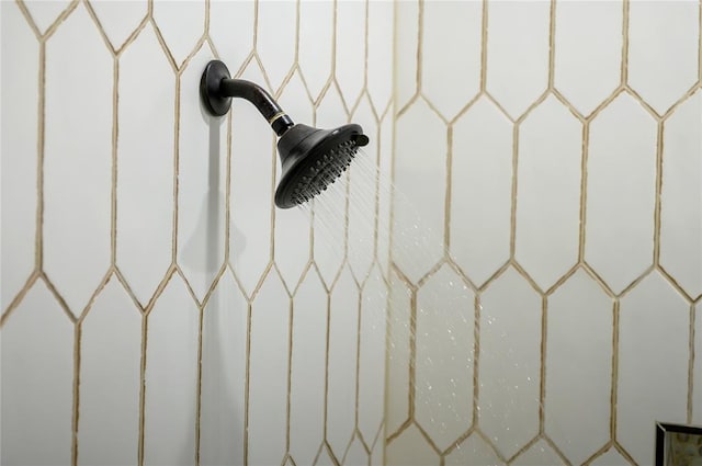 interior details featuring tiled shower