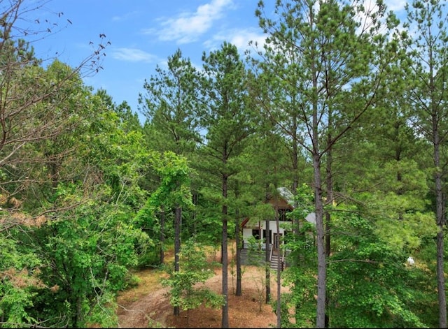 view of local wilderness featuring a wooded view