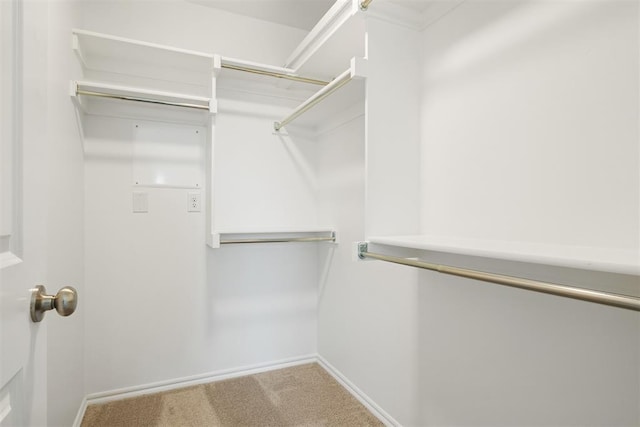 spacious closet with carpet floors