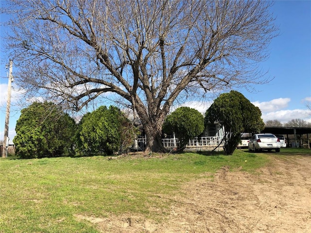 view of yard featuring dirt driveway