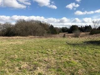 view of yard with a rural view