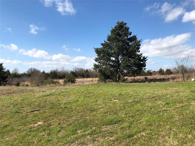 view of yard with a rural view