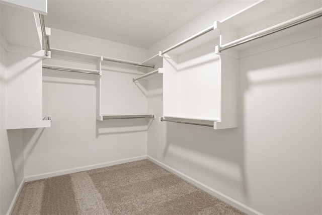 walk in closet featuring carpet