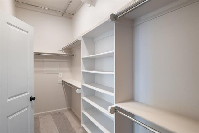 spacious closet with light colored carpet