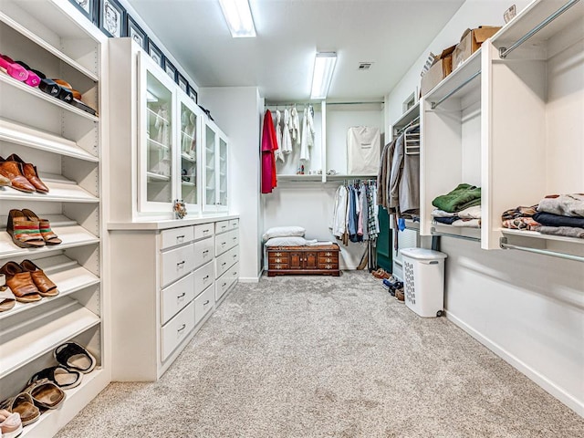 spacious closet with light carpet