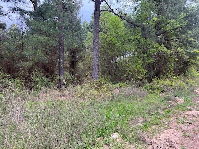 Listing photo 3 for 23 Alumaweld Ln, Broken Bow OK 74728