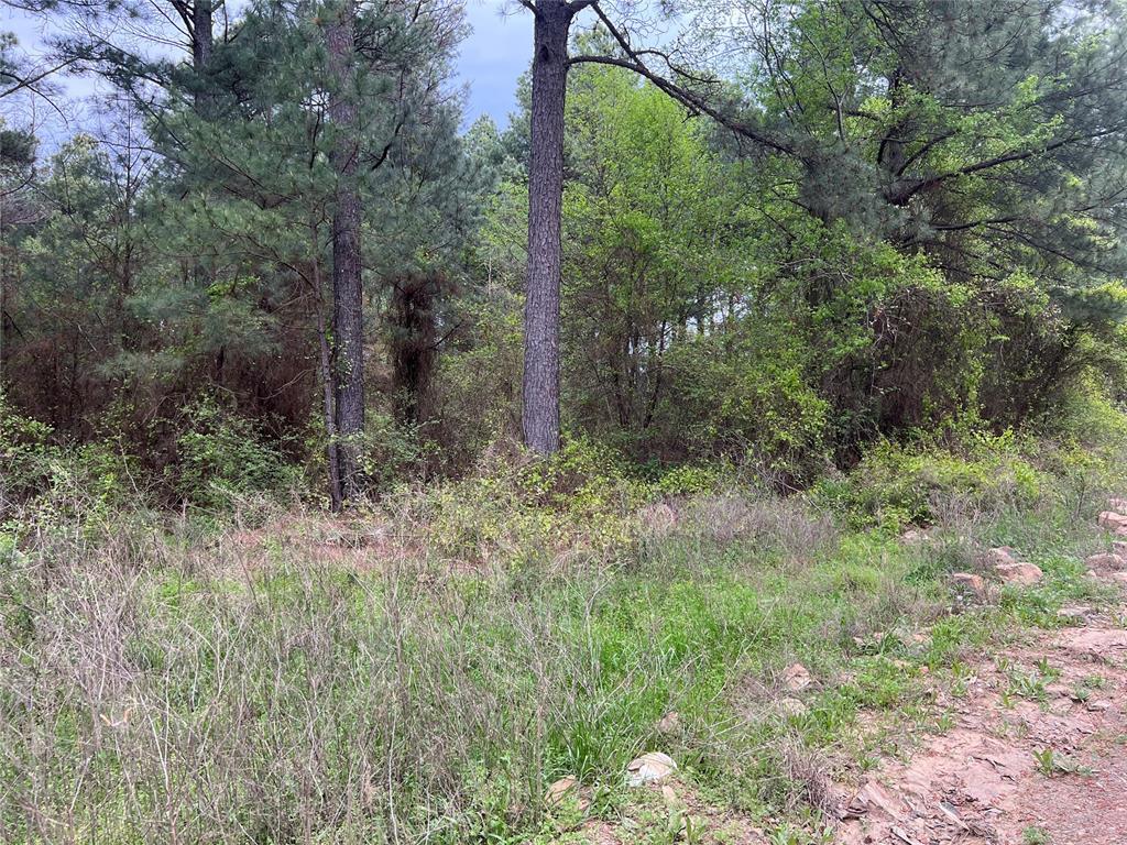 23 Alumaweld Ln, Broken Bow, OK 74728 - photo 3