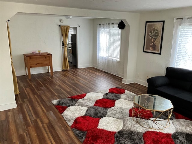 living room featuring dark hardwood / wood-style flooring