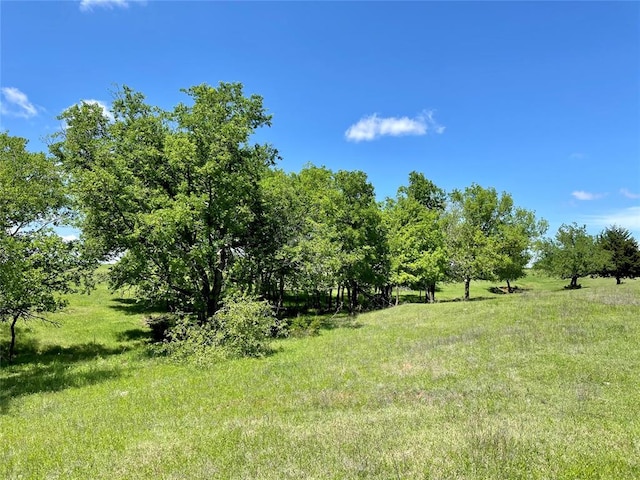 view of landscape with a rural view