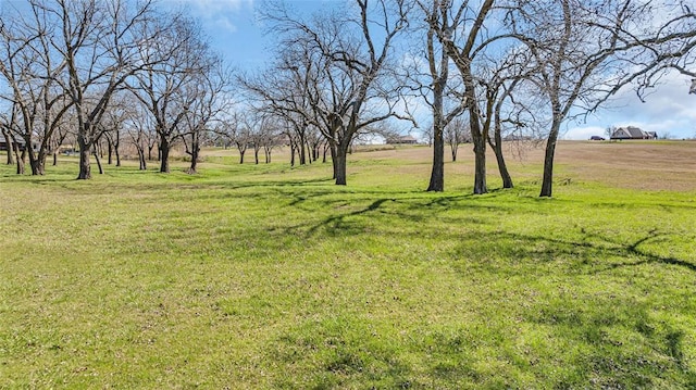 Listing photo 2 for E County Road 1516, Paoli OK 73074