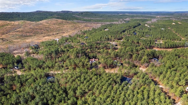 bird's eye view with a mountain view