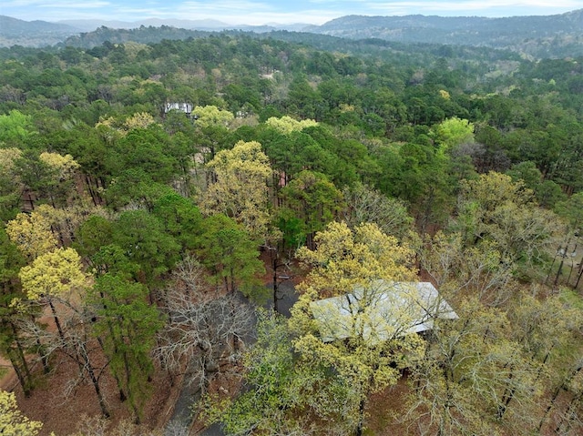 drone / aerial view featuring a mountain view