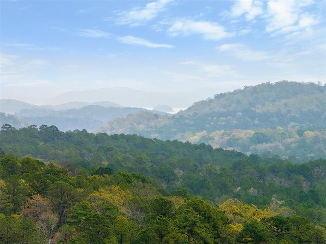 property view of mountains