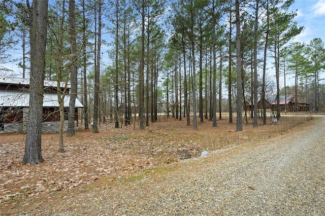 44 Blue Ivey Cir, Broken Bow, OK 74728 - view of yard