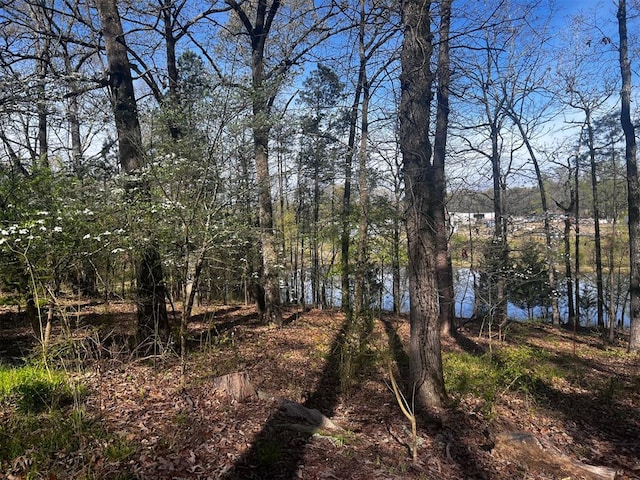 view of nature with a water view