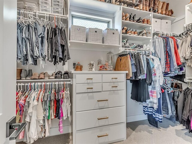 spacious closet featuring carpet floors