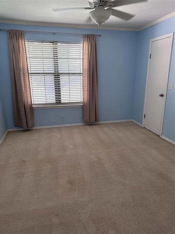 empty room with light colored carpet, ceiling fan, and ornamental molding